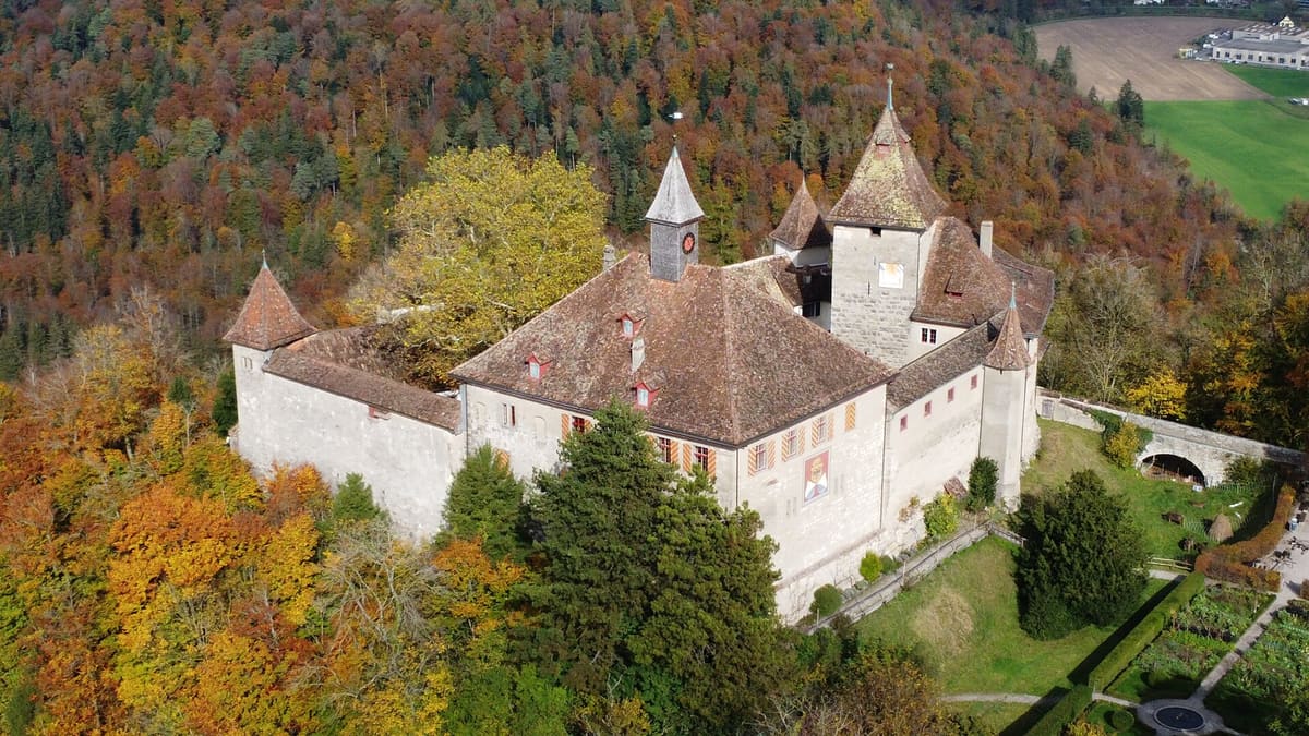 Kyburg Castle surrounded by autumn forest seen from a drone