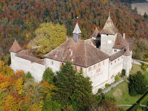 Kyburg Castle surrounded by autumn forest seen from a drone