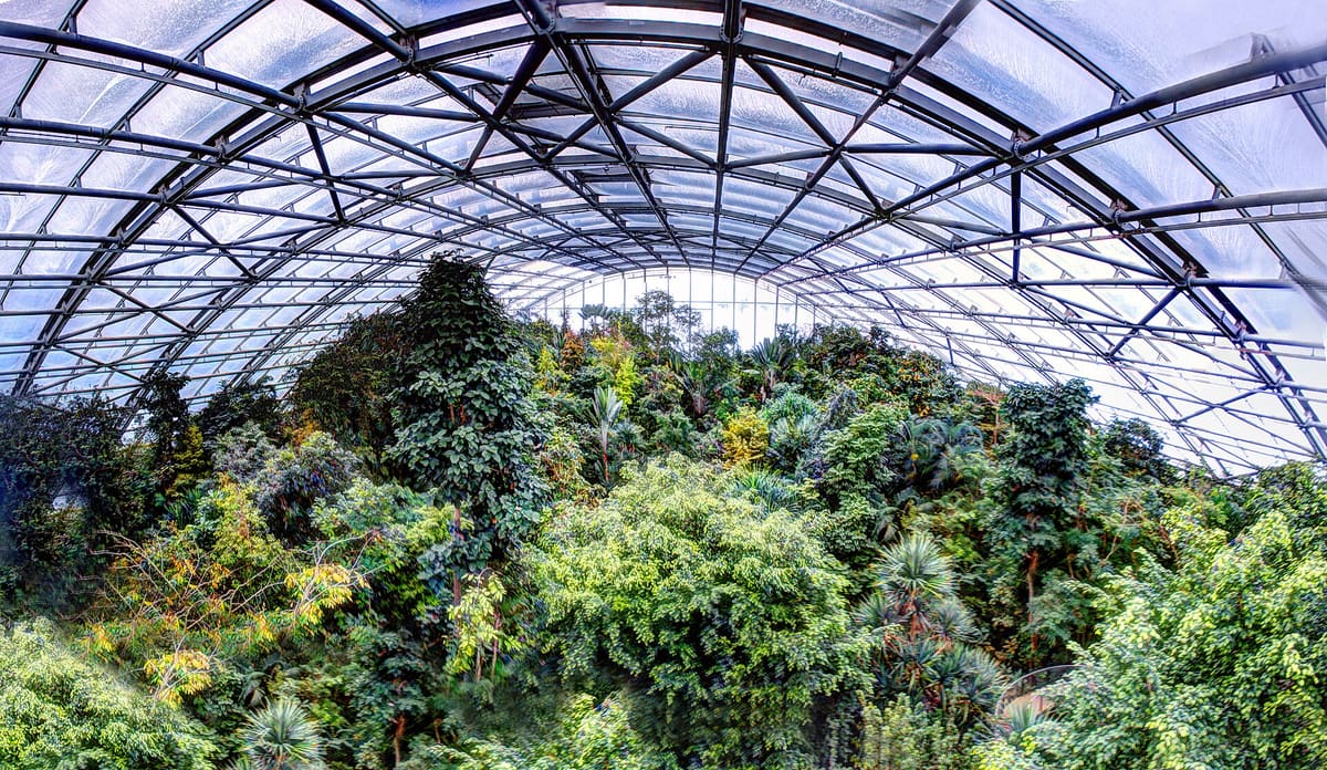 Inside the Masoala Rainforest hall at Zurich Zoo with dense green plants under the glass roof