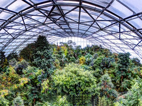 Inside the Masoala Rainforest hall at Zurich Zoo with dense green plants under the glass roof